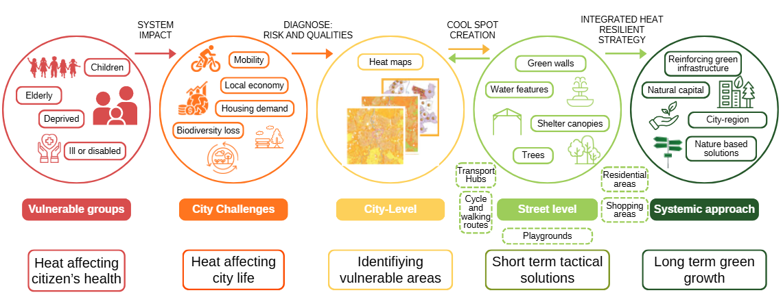Infographic showing a heat‑resilience planning process: vulnerable groups affected by heat (children, older people, deprived communities, people who are ill or disabled), city challenges addressing the needs of these groups. heat effects and aspects important to consider in adaptation (mobility, local economy, housing demand, biodiversity loss), analysis using heat maps, street‑level cooling actions (trees, green walls, water features, shelter canopies), and a long‑term integrated heat‑resilient strategy using green infrastructure and nature‑based solutions.